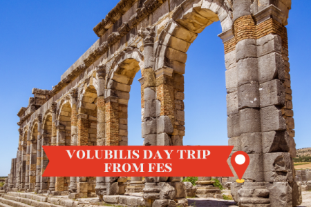 Day trip from to Volubilis