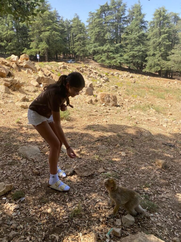 32